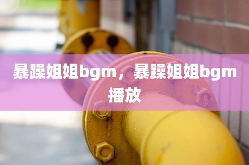 暴躁姐姐bgm，暴躁姐姐bgm播放