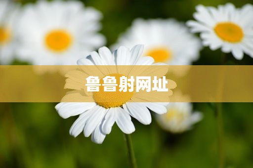 鲁鲁射网址