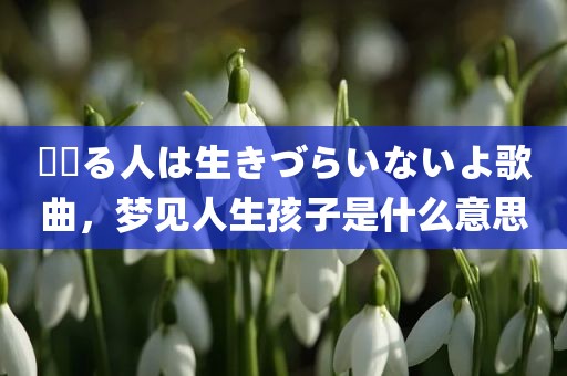 夢見る人は生きづらいないよ歌曲，梦见人生孩子是什么意思