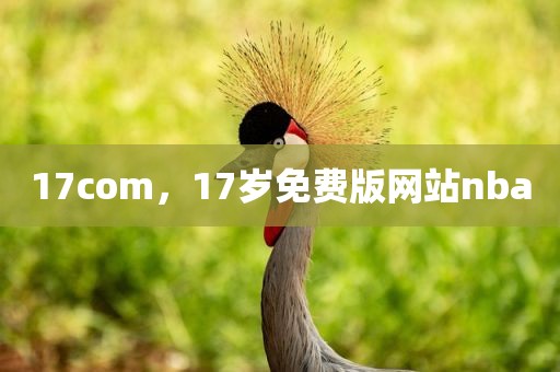 17com，17岁免费版网站nba