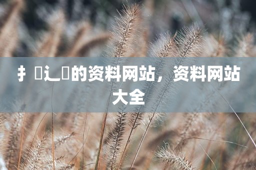 扌臿辶畐的资料网站，资料网站大全