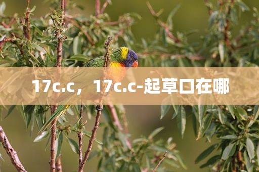 17c.c，17c.c-起草口在哪