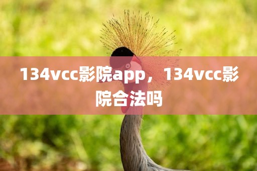 134vcc影院app，134vcc影院合法吗