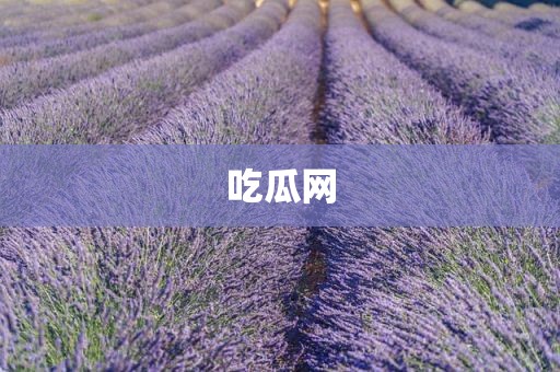 吃瓜网