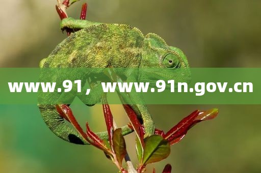 www.91，www.91n.gov.cn