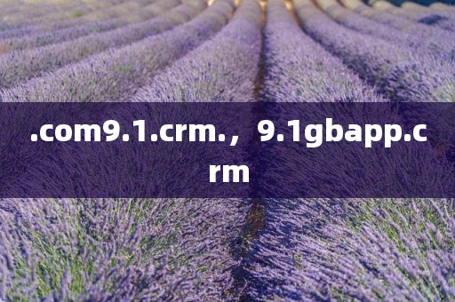 .com9.1.crm.，9.1gbapp.crm