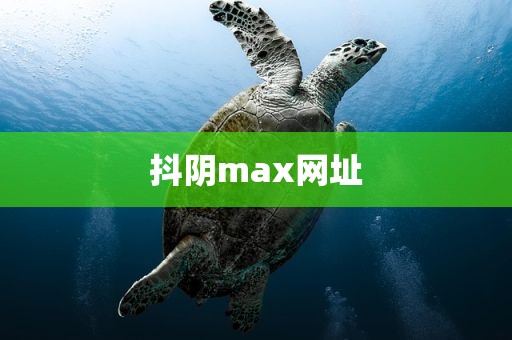 抖阴max网址