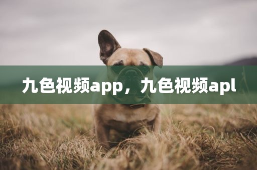 九色视频app，九色视频apl