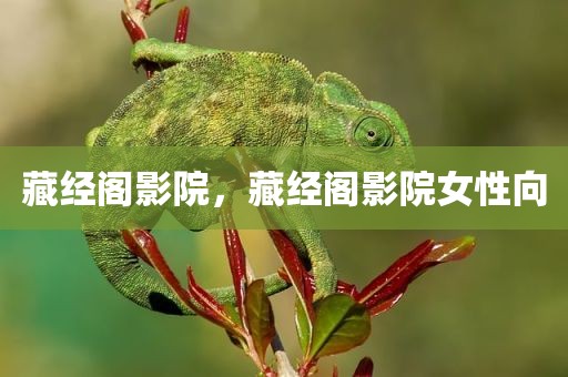 藏经阁影院，藏经阁影院女性向