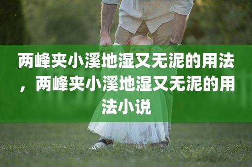 两峰夹小溪地湿又无泥的用法，两峰夹小溪地湿又无泥的用法小说