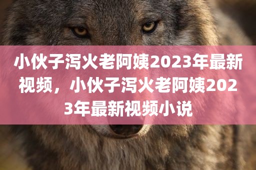 小伙子泻火老阿姨2023年最新视频，小伙子泻火老阿姨2023年最新视频小说
