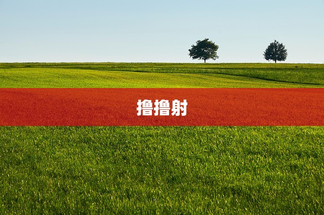 撸撸射