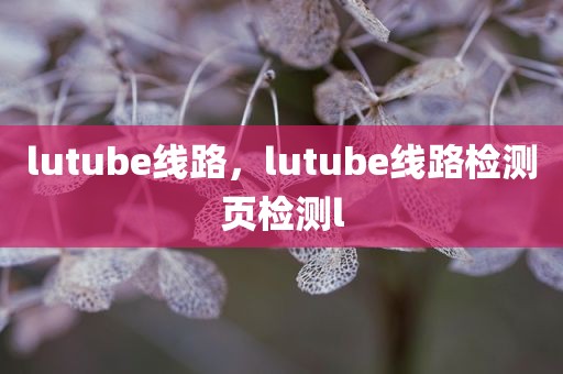 lutube线路，lutube线路检测页检测l