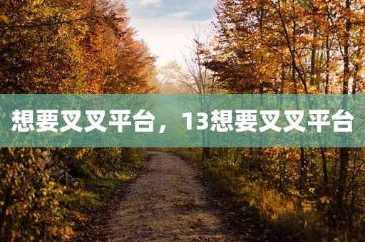 想要叉叉平台，13想要叉叉平台