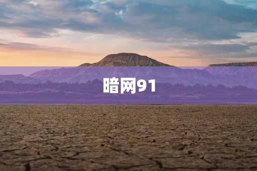暗网91
