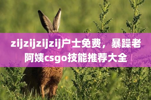 zijzijzijzij户士免费，暴躁老阿姨csgo技能推荐大全