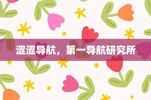 涩涩导航，第一导航研究所