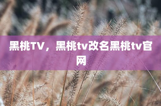 黑桃TV，黑桃tv改名黑桃tv官网