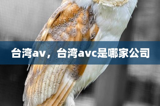 台湾av，台湾avc是哪家公司