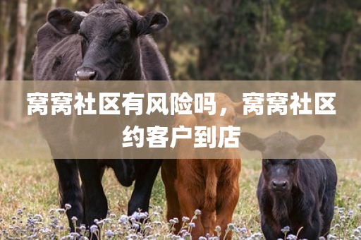 窝窝社区有风险吗，窝窝社区约客户到店