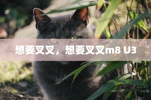 想要叉叉，想要叉叉m8 U3