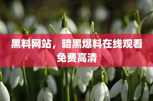 黑料网站，暗黑爆料在线观看免费高清