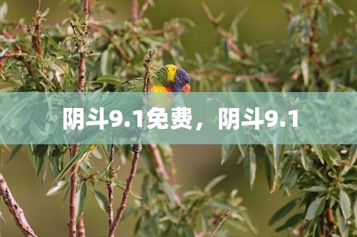 阴斗9.1免费，阴斗9.1