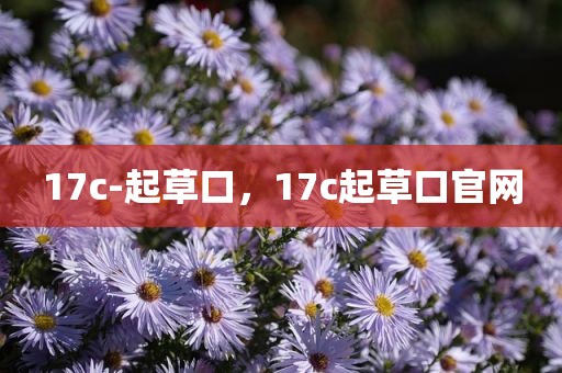 17c-起草口，17c起草口官网
