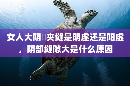 女人大阴脣夹缝是阴虚还是阳虚，阴部缝隙大是什么原因
