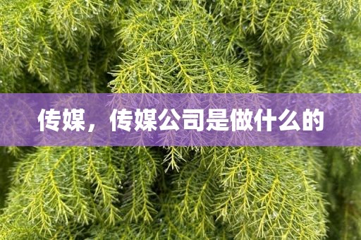 传媒，传媒公司是做什么的