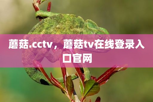 蘑菇.cctv，蘑菇tv在线登录入口官网