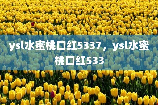 ysl水蜜桃口红5337，ysl水蜜桃口红533