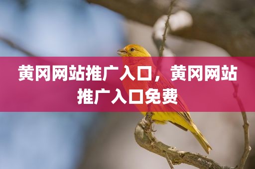 黄冈网站推广入口，黄冈网站推广入口免费