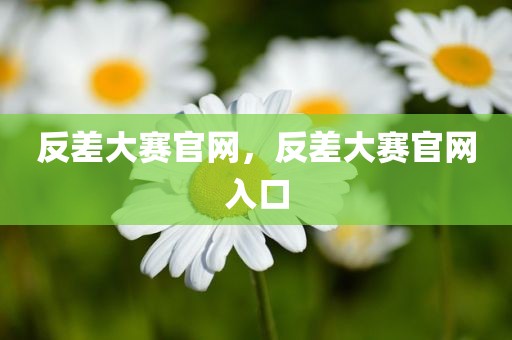 反差大赛官网，反差大赛官网入口