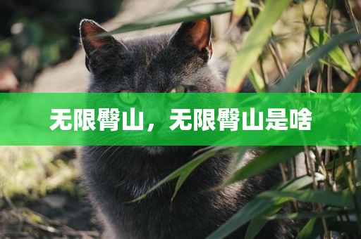 无限臀山，无限臀山是啥