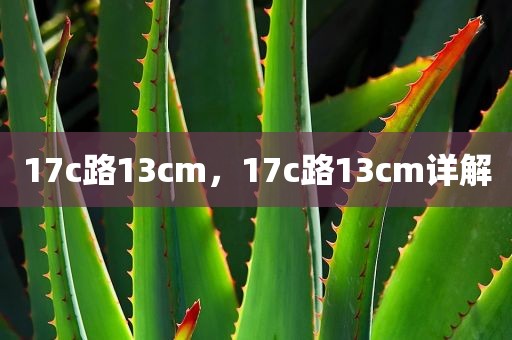 17c路13cm，17c路13cm详解