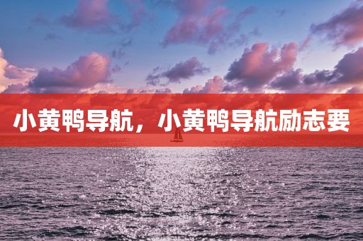 小黄鸭导航，小黄鸭导航励志要