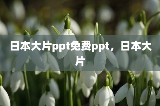 日本大片ppt免费ppt，日本大片