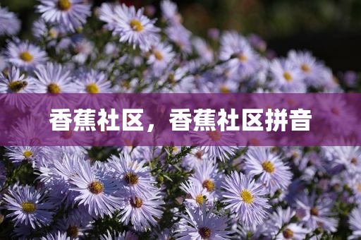 香蕉社区，香蕉社区拼音