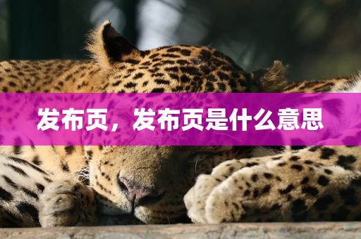 发布页，发布页是什么意思