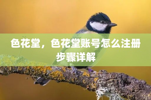色花堂，色花堂账号怎么注册步骤详解