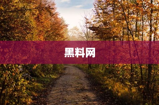黑料网