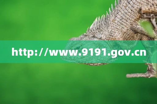 http://www.9191.gov.cn