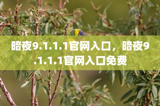 暗夜9.1.1.1官网入口，暗夜9.1.1.1官网入口免费