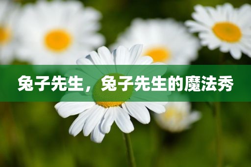 兔子先生，兔子先生的魔法秀