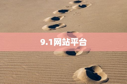 9.1网站平台