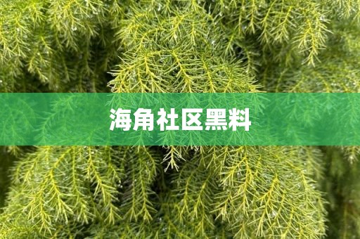海角社区黑料
