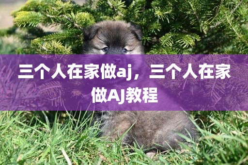 三个人在家做aj，三个人在家做AJ教程