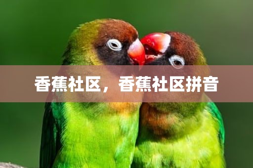 香蕉社区，香蕉社区拼音