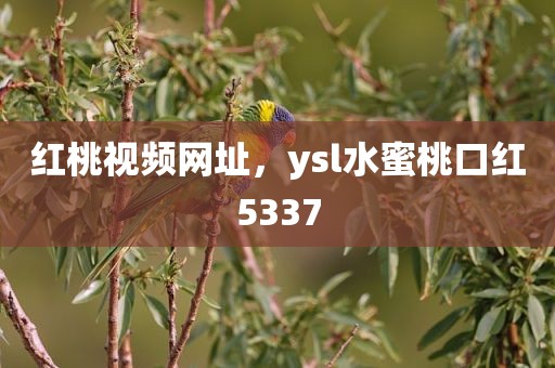 红桃视频网址，ysl水蜜桃口红5337